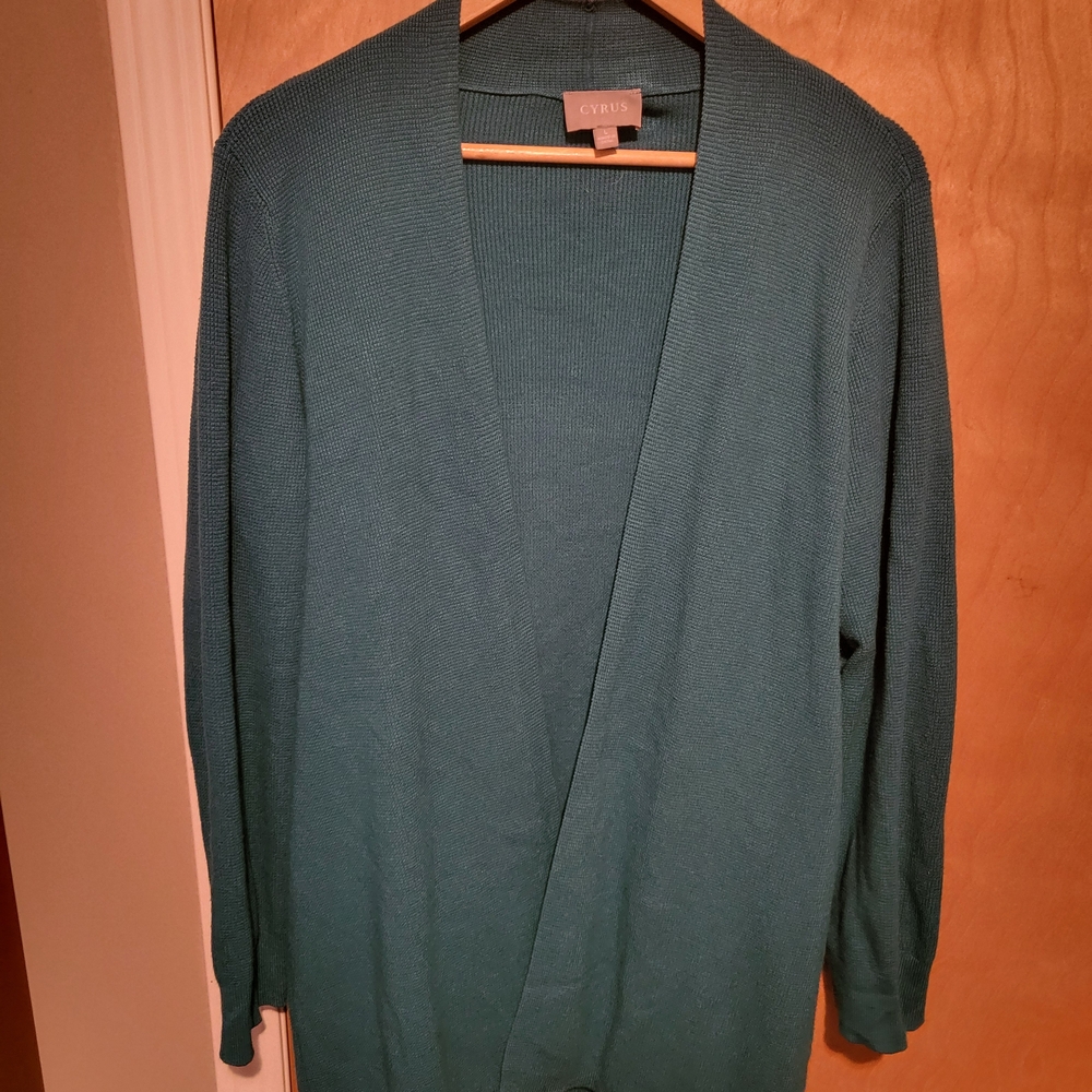 Cyrus Women's Teal Sweater